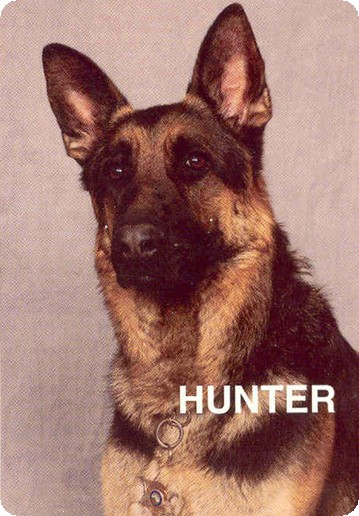 K-9 Hunter